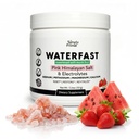 WATERFAST Monk Fruit Keto Electrolyte Powder for Basting and Hydration - Epres Görögdinnye Flavor - 124; Pink Himalájai só (Nátrium), Kálium, Magnézium, Kalcium 124; Cukor mentes