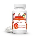 Premium Masztikus gumi kapszula - természetes gyomor-bélrendszeri kiegészítő, 1000mg Per Serving - 120 kapszula (1 üveg)