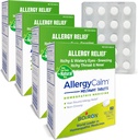 Boiron AllergySolid Tablets 240 Count, Relief from Allergies and Hay Fever Tünetei Tüsszentés, Runny Nose, Itchy Eyes, torok, Allergia Nyugodt Tabs (Korábban RhinAllergia) (4 60ct dobozok)