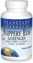 Planetary Herbals Slippery Elm Lozenges, Strawberry, 24 gróf