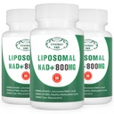 NAD + kiegészítés Liposzómás NAD + Plus 800MG Nikotinamid Ribozid Alternatív sejtenergia, egészséges öregedés és izom javítás 180 kapszula (3-as csomag)