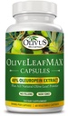 Olive MAX Olive Leaf kivonat (40% oleuroepin) + Organic Olive Leaf Powder + No Fillers + 60 Vegetáriánus kapszula + Spanyolországból származó és az Egyesült Államokban gyártott GMP Facility