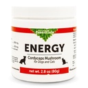 Animal Essentials Energy Cordyceps Gomba kiegészítés kutyák és macskák - Support Stamina & Endurance, Egészséges légzés & vese funkciók, Antioxidáns, Gomba por kivonat - 2.8 Oz (1-es csomag)