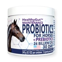 HealthyGut ™ Probiotics lovaknak diétás kiegészítés, All- Natural Digestive System Karbantartás Forma (30 nap)