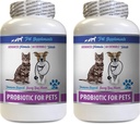 macska Bad Breath Treases - PROBIOTICS for Pets - Kutya Macska - Rossz gáz és légzési kezelések - Advanced Immune Boost - A legjobb probiotikumok macskáknak - 2 palack (120 kezelés)