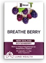 Légzés Berry Boysenberry Természetes egészséges tüdő kiegészítés, Támogatja a mellkasi congestion, Mucus és növeli az általános légzőszervi Wellness Egészséges tüdő kiegészítés