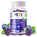 Háziállatok Legtisztább Glucosamine Chondroitin Gumies MSM & Elderberry Extra Strength - Joint Support, Antioxidant Immune Support Supplement for Surever, men & women.60 Blueberry Gumies