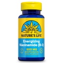 Természet Energizáló Niacinamide 500mg - No Flush vitamin B 3 Niacin kiegészítés - Idegfunkció, anyagcsere és egészséges energia támogatás - 60- napos garancia, Lab ellenőrzött, 100 szervizek, 100 tabletta