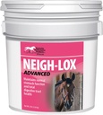 KENTUKY TELJESÍTMÉNY PROD 044343 Szomszéd- Lox Advanced Digestive Supplement for Horses, 8 lb