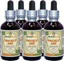 Krickly Ash (Zanthoxylum Clava-herculis) Tincture, Dried Bark Liquid Extract (Markenname: HerbalTerra, Proudly Made in USA) 5x2 fl.oz (5x60 ml)