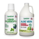 Land Art Aloe Vera Juice - Gránátalma ízesítve - hideg feldolgozva - Belső Filet szerves friss levelekből - 64floz + folyékony klorofill menta ízesítve - hideg kivont Wild Non-GMO Alfalfa - 16floz