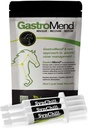 SynChill 3 Pack + GastroMend Bundle for Horses - Átfogó gyomor-egészségügyi és viselkedési támogatás, Támogatások a Gastric Ulcer Relief, Promotes Calmness & Focus, Minden természetes, költséghatékony