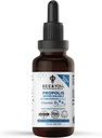 BEE and You Liquid Propolis Extract, Water Soluble, Vitamins D3 + K2, High Potency, Immun Support Supplement, Sore Throat Relief, Antioxidánsok, Keto, Paleo, Gluten- Free, 1 Fl Oz (1 Pack)