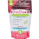 Probiotikumok a Dogs- Complete Gut Health & Immune Support. Könnyen használható emésztési többlépcsős probiotikumok. Könnyebb diéta átmeneti, egészségesebb bőr és kabát és segít kezelni hasmenés. 60 lágy sajt