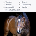 Mega- Mag (35lb) Kiegyenlített multivitamin / Ásványi kiegészítése Alfalfa Hay diéta...