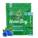 Waterboy Workout Hydration 124; 2,960mg Sugar Free Electrolyte Powder Packaets n.e.124; L- Glutamin + Vitamins n.e.124; No Sugar, All Natural, Gluten Free X4; 15 Drink Stick Mix (Blue Raspberry)
