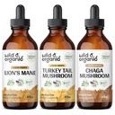 Wild & Organic Lion 's Mane, Turkey Tail & Chaga Gomba Tinktúrák