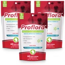 Proflora Probiotic Soft Chews kutyáknak - Veterinary- Strength Daily Probiotic - Digestion Health - Fokozott immunrendszer - Bőr és kabátok egészsége - 180 Soft Chews