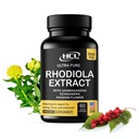 Rhodiola Rosea Supplement High Potency Extract 500mg - 3% Rosavins 1% Salidrosides mit Ashwagandha Shisandra Passion Flower Herb Powder Capsules - Natürliche Möglichkeit, Stress zu lindern - Pillen für Energie