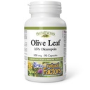HerbalFactors by Natural Factors, Olive Leaf 500 mg, Natural Wellness Formula, 90 kapszula