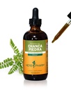 Herb Pharm Chanca Piedra Folyékony kivonat húgyúti rendszer támogatására - 4 Ounce