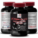 Stamina Support Formula - TRIBULUS TERTRACIS EXTRACT - Power Recharge, Power Support Blend, Physical Boost, Plant- Powered Energy, Body Support Formula, Strength and Power, Active Strength 1Bot 90Tab