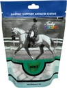 Funky Unicorn Gastic Chews - MINT ízű