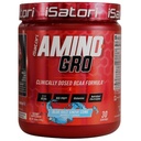 iSatori Amino- GRO BCAA por, elágazó láncú Amino Acides glutaminnal, Electrolyte Powder & Bio- GRO Bio- Active Peptides izomnövekedéshez és post edzés helyreállításához, Blue Razz Snow Cone (30 szerválat)