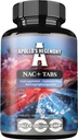 APOLLO 'S HEGEMONY NAC + 150 mg - N- Acetyl L- Cystein and Artischop Extract, 300 Vegan Tabletta, 1200 Servings, Amino Acid Dietary Supplement, Supports Detox és máj egészség