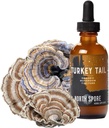 North Spore Organic Turkey Tail Tincture - 124; Gombakereső kiegészítés Immune Wellness - 124; Fenntartható termesztés és megerősítés Potency - 124; Trametes Versicolor kivonat - 124; Vegán, Non- GMO - 2oz