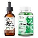 Wild & Organic Black Walnut Tinktúra 2 fl oz & Chlorophyll Gumies 60 gróf