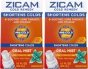 Zicam Cold Remedy Cink Arctic Menta Oral Mist, 1 Ounce (2-es csomag)