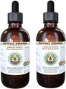 American Ginseng Alcohol- Free Liquid Extract, Ginseng (Panax Quinquefolius) Szárított Root Glycerite Hawaii Pharm Natural Herbal Supplement 2x4 oz