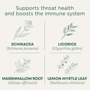 Hagyományos gyógyszerek Lozenges, Organic Throat Coat Lemon Ginger Echinacea, Sore Throat Support, 16 Count (2-es csomag)