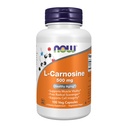 NOW Foods kiegészítők, L- Carnosine (Beta-Alanyl- L- Histidin) 500 mg, Egészséges öregedés, 100 Veg kapszula