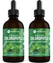 360 Táplálkozás Klorofill folyékony cseppentő borsmenta olaj, GF & Vegan test belső dezodor kiegészítés, Támogatja a gut egészség, emésztés, energia, sugárzó bőr, gyors abszorpció (4 Fl Oz (2 gróf))