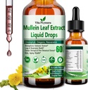 Mullein cseppek a tüdők, Organic Mullein Level kivonat a tüdő Detox w. Chlorophyll Elderberry Oregano olaj Resveratrol Mullein Tinktúra Alkohol mentes, Eredeti Flavor, 2 f Fl / Oz