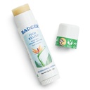 Badger Bug Bite Itch Relief Stick, Natural & Organic Anti Itch Cream for Bug Bites, Rashs & Poison Ivy, Fast Itchy Skin Relief After Bite, Works Great, Smells Great, Easy to Use, .6 oz