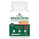 11 - in- 1 Mellékvese kiegészítő, Cortisol kiegészítés Pantothenic Acid és Ashwagandha - Támogatja az egészséges mellékvese funkció, energia és relaxáció - 60 kapszula