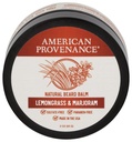 American Provenance Premium Natural Beard and Mustache Balm for Men with Shea Butter, Jojoba Oil, Argan Oil - Grooming Balm that Conditions, Moisturizes and Strenthens Beards and Mustaches of Any Wonderage 124; Lemongrass & Mustach, 2 oz (Pack of 1)