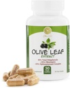 Olive Leaf Extract - 500mg - Supplement Standard to 25% Oleuropein - 20% Hydroxytyrosol - 40% Polifenolok - Non-GMO + Gluten Free + Dairy Free + Soy Free + Vegan (30 kapszula)
