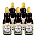 Hivatalos forgalmazó - 5 üveg Apiario Silvestre Brazil Zöld Méhek Propolisz Folyékony Glycolic Extract - Nem alkoholos, Wax Free, Sugar Free (PG)