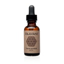 PAAVANI Ayurveda Ear Oil - Made in USA - Ayurvedic Herbal Ear Drops - Itchy Ears & Earache Relief - 100% Bio, 1 Unze