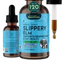 Animal Essentials Slippery Elm Slippery Elm Bark Anti Hasmenés cseppek kutyák és macskák, szerves gyógynövény kivonat egészséges bél, emésztési és torok támogatás, Segíti a sav reflux, folyadék formula- 1 fl oz