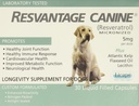 Resvantage kutya