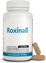 Stamina Pills for Men - Made with L Arginine & Maca - Enhance Performance & Endurance, Build Stamina Feel Stronger, 60 kapszula