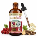Rejuvica Health CardioVance - Herz-Supplement - Flüssige Lieferung für bessere Absorption - Hawthorne, Hibiscus, Arjuna, Olive Leaf & More!