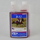 SU- PER B- 12 Energy Horse Supplement - Equine Vitamins B- 12 & B- 9 Folic Acid Support Liquid - Red Blood Cell Production & Stamina Support for Peak Performance - Quart, (2 Pack)