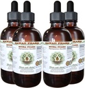 Muira Puama Alcohol- Free Liquid Extract, Organic Muira Puama (Ptychocetalum Olacoides) Glicerit Natural Herbal Supplement, Hawaii Pharm, USA 4x4 oz
