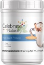 Vitaminok Vegán fehérje por - Minden természetes növény alapú fehérje shake Mix - 20g Pea fehérje & 3g fiber, post- Bariage Surgery - Vanilla Chai (15 szerváció)